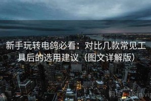 新手玩转电鸽必看：对比几款常见工具后的选用建议（图文详解版）