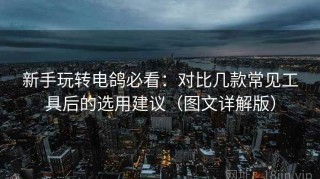 新手玩转电鸽必看：对比几款常见工具后的选用建议（图文详解版）