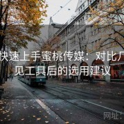 懒人快速上手蜜桃传媒：对比几款常见工具后的选用建议