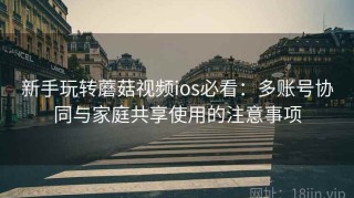 新手玩转蘑菇视频ios必看：多账号协同与家庭共享使用的注意事项