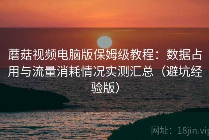 蘑菇视频电脑版保姆级教程：数据占用与流量消耗情况实测汇总（避坑经验版）