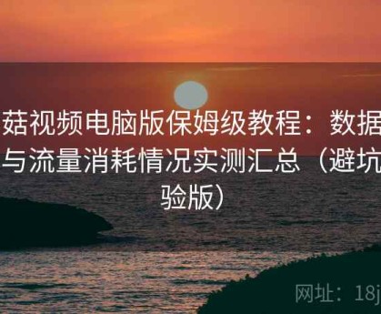 蘑菇视频电脑版保姆级教程：数据占用与流量消耗情况实测汇总（避坑经验版）