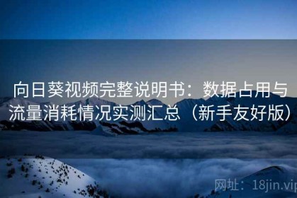向日葵视频完整说明书：数据占用与流量消耗情况实测汇总（新手友好版）