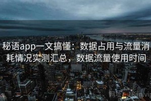 秘语app一文搞懂：数据占用与流量消耗情况实测汇总，数据流量使用时间