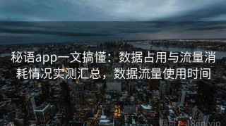 秘语app一文搞懂：数据占用与流量消耗情况实测汇总，数据流量使用时间