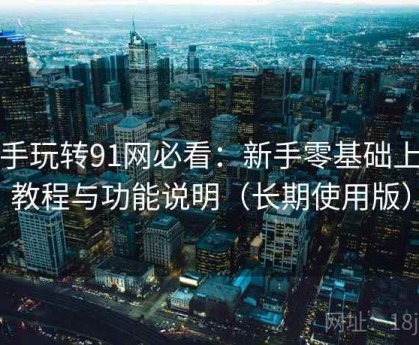 新手玩转91网必看：新手零基础上手教程与功能说明（长期使用版）