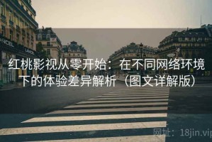 红桃影视从零开始：在不同网络环境下的体验差异解析（图文详解版）