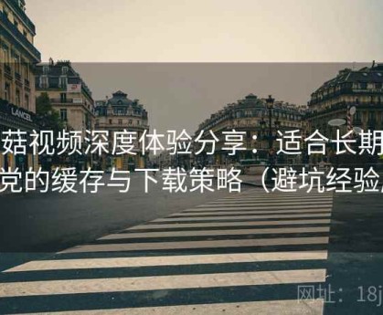 蘑菇视频深度体验分享：适合长期追更党的缓存与下载策略（避坑经验版）