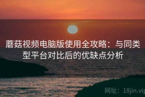 蘑菇视频电脑版使用全攻略：与同类型平台对比后的优缺点分析