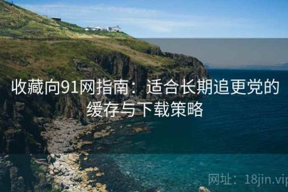 收藏向91网指南：适合长期追更党的缓存与下载策略