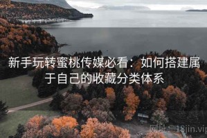 新手玩转蜜桃传媒必看：如何搭建属于自己的收藏分类体系