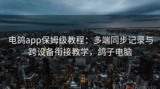 电鸽app保姆级教程：多端同步记录与跨设备衔接教学，鸽子电脑