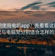 想长期使用电鸽app？先看看这篇：手机党与电脑党分别适合怎样的玩法