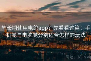 想长期使用电鸽app？先看看这篇：手机党与电脑党分别适合怎样的玩法