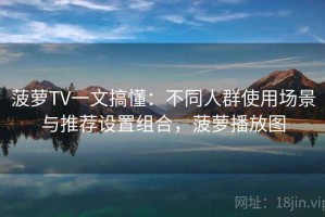 菠萝TV一文搞懂：不同人群使用场景与推荐设置组合，菠萝播放图