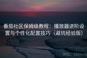 番茄社区保姆级教程：播放器进阶设置与个性化配置技巧（避坑经验版）
