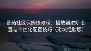 番茄社区保姆级教程：播放器进阶设置与个性化配置技巧（避坑经验版）