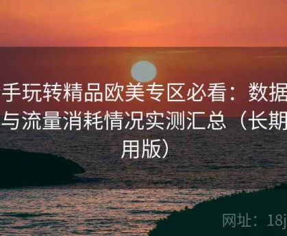 新手玩转精品欧美专区必看：数据占用与流量消耗情况实测汇总（长期使用版）