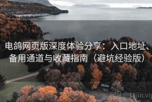 电鸽网页版深度体验分享：入口地址、备用通道与收藏指南（避坑经验版）