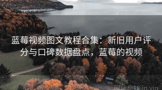 蓝莓视频图文教程合集：新旧用户评分与口碑数据盘点，蓝莓的视频