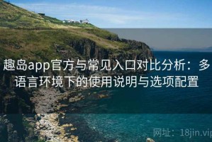 趣岛app官方与常见入口对比分析：多语言环境下的使用说明与选项配置