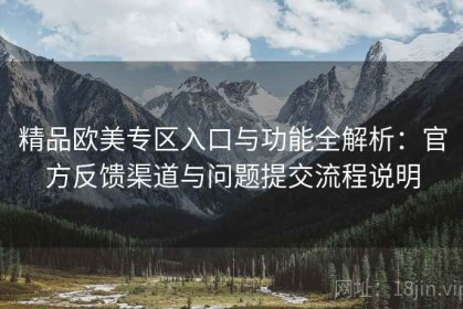 精品欧美专区入口与功能全解析：官方反馈渠道与问题提交流程说明