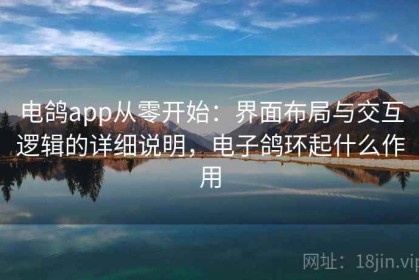 电鸽app从零开始：界面布局与交互逻辑的详细说明，电子鸽环起什么作用
