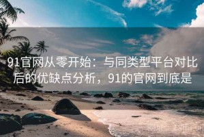 91官网从零开始：与同类型平台对比后的优缺点分析，91的官网到底是