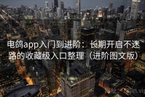 电鸽app入门到进阶：长期开启不迷路的收藏级入口整理（进阶图文版）