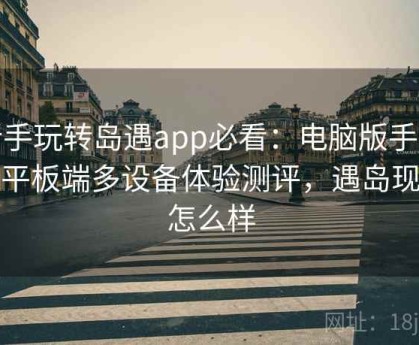 新手玩转岛遇app必看：电脑版手机版平板端多设备体验测评，遇岛现在怎么样