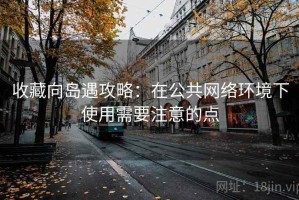 收藏向岛遇攻略：在公共网络环境下使用需要注意的点