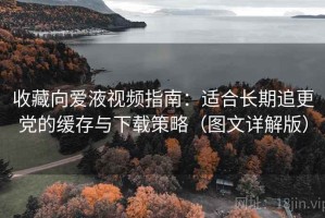 收藏向爱液视频指南：适合长期追更党的缓存与下载策略（图文详解版）