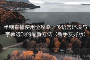 半糖直播使用全攻略：多语言环境与字幕选项的配置方法（新手友好版）
