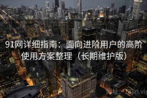 91网详细指南：面向进阶用户的高阶使用方案整理（长期维护版）