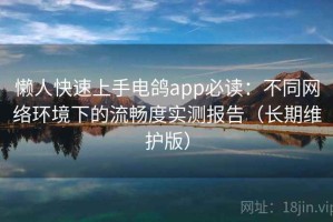 懒人快速上手电鸽app必读：不同网络环境下的流畅度实测报告（长期维护版）