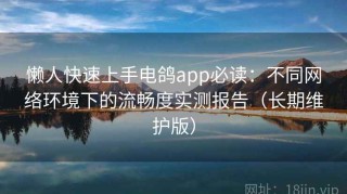 懒人快速上手电鸽app必读：不同网络环境下的流畅度实测报告（长期维护版）
