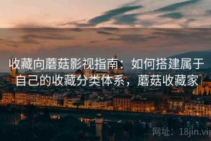 收藏向蘑菇影视指南：如何搭建属于自己的收藏分类体系，蘑菇收藏家