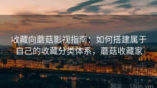 收藏向蘑菇影视指南：如何搭建属于自己的收藏分类体系，蘑菇收藏家