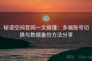 秘语空间官网一文搞懂：多端账号切换与数据备份方法分享