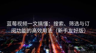 蓝莓视频一文搞懂：搜索、筛选与订阅功能的高效用法（新手友好版）