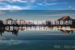 收藏向电鸽网页版指南：播放器进阶设置与个性化配置技巧，鸽子电脑