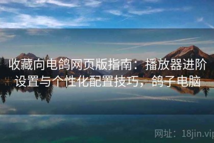 收藏向电鸽网页版指南：播放器进阶设置与个性化配置技巧，鸽子电脑