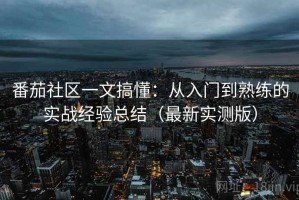 番茄社区一文搞懂：从入门到熟练的实战经验总结（最新实测版）
