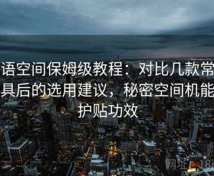 秘语空间保姆级教程：对比几款常见工具后的选用建议，秘密空间机能养护贴功效