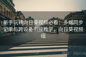 新手玩转向日葵视频必看：多端同步记录与跨设备衔接教学，向日葵视频组