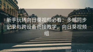 新手玩转向日葵视频必看：多端同步记录与跨设备衔接教学，向日葵视频组