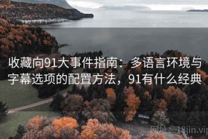 收藏向91大事件指南：多语言环境与字幕选项的配置方法，91有什么经典