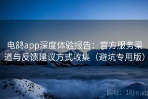 电鸽app深度体验报告：官方服务渠道与反馈建议方式收集（避坑专用版）