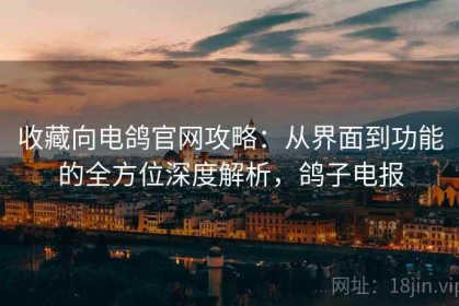 收藏向电鸽官网攻略：从界面到功能的全方位深度解析，鸽子电报