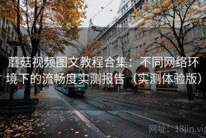 蘑菇视频图文教程合集：不同网络环境下的流畅度实测报告（实测体验版）